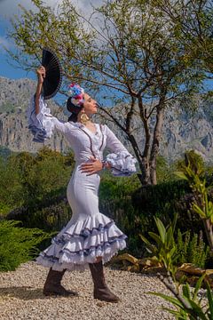 Flamenco in den Bergen 2 von Peter Laarakker