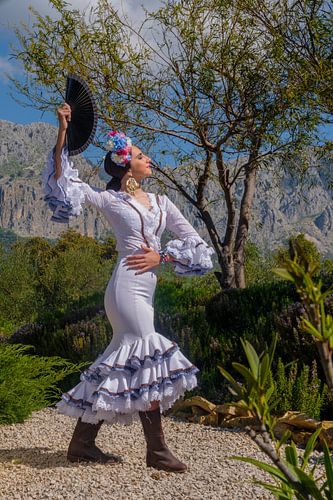 Flamenco in de bergen 2 van Peter Laarakker