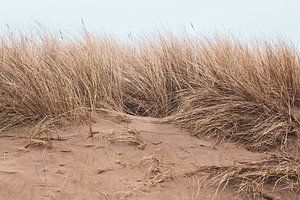 Duinen van Denise Tiggelman