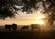 Vaches en gestation sous les arbres à la lumière du matin par Ina Roke Aperçu