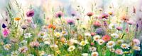 Zomer! Panorama schilderij met veldbloemen