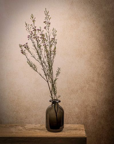 Still life branch in vase
