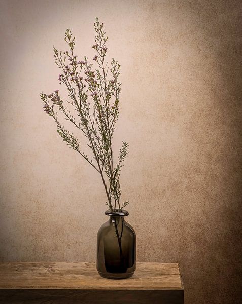 Stillleben-Zweig in Vase von Marjolein van Middelkoop