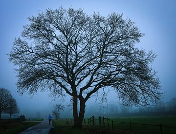 silhouet van een boom van Anita van Gendt