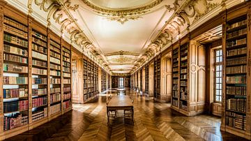 Benedictijner bibliotheek in Saint-Mihiel van Herman Coumans