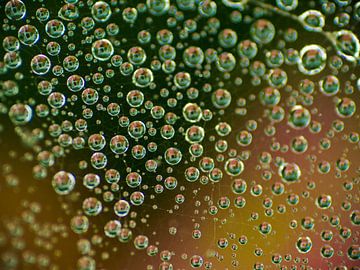 bubble wrap by Jo Beerens