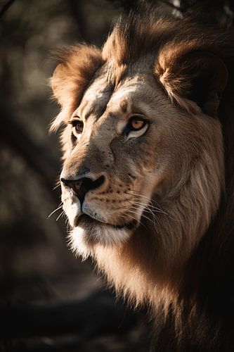 Lion dans la savane V1