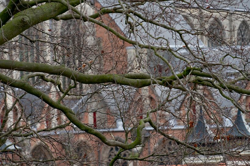 Hooglandse Kerk in Leiden, Südholland von Jeannette Kliebisch