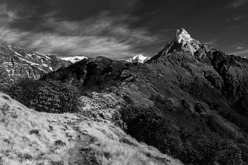 Wanderroute des Mardi Himal Trekkings in Nepal mit dem Fishtail Mountain im Hintergrund. von Twan Bankers