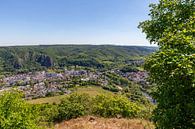 Panoramisch uitzicht van Bad Münster am Stein-Ebernburg in Rijnland-Palts, Duitsland van Reiner Conrad thumbnail