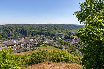 Panoramisch uitzicht van Bad Münster am Stein-Ebernburg in Rijnland-Palts, Duitsland van Reiner Conrad