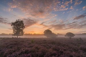 Westerheide lever du soleil