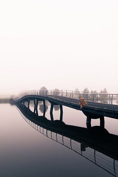 Alone in the mist #1 von Vincent van Dam