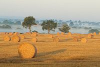 French landscape - hay time