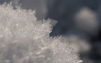 macro van ijskristallen van ChrisWillemsen thumbnail