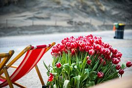 Strand tulpen von Okko Meijer