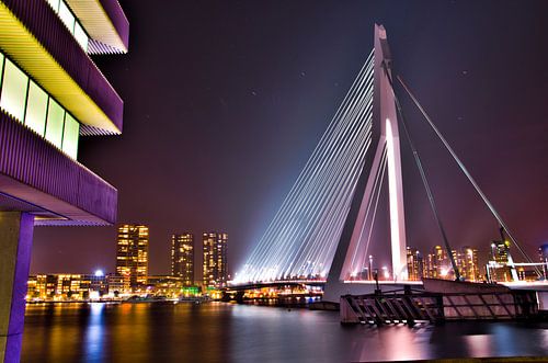 Erasmusbrug zuidkant van Rotterdam RawBird Photo's Wouter Putter