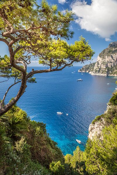 View to Punta de Masullo on Capri by Christian Müringer