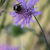 Tuinhappy Profilfoto