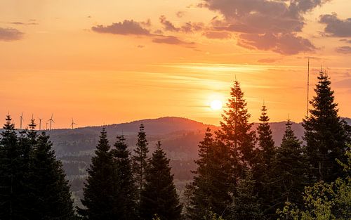 Dietzenley, Vulkaaneifel, Rijnland-Palts, Duitsland