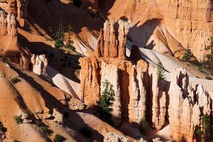 Bryce Canyon von Willem Vernes