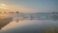 A blanket of fog reveals the world