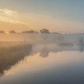 A blanket of fog reveals the world van Eric Hendriks