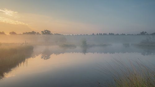Une couverture de brouillard révèle le monde sur Eric Hendriks