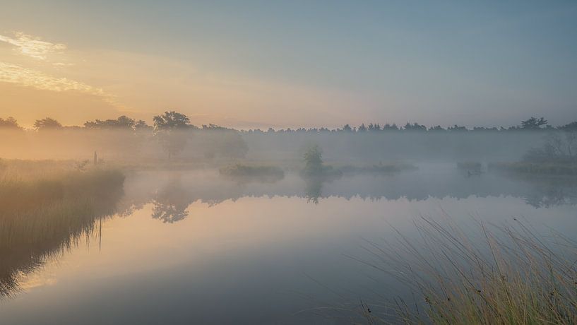 A blanket of fog reveals the world van Eric Hendriks