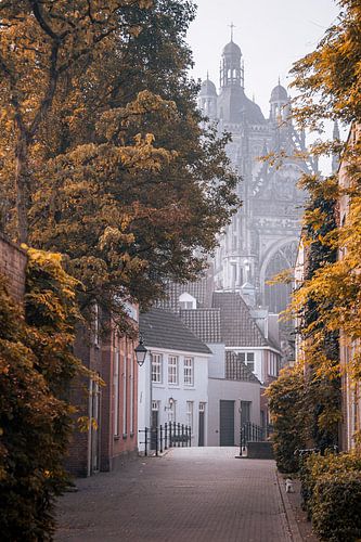 Autumn in 's-Hertogenbosch by Niek Wittenberg