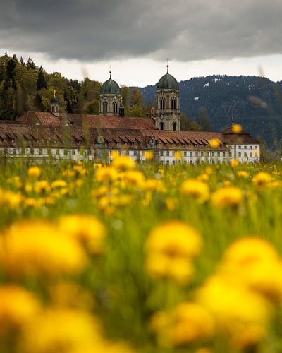 Lente in het klooster van Einsiedeln - Hoog