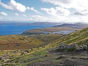 The Storr - Isle of Skye - Schottland von Liefde voor Reizen Miniaturansicht