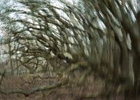 Wind 1
