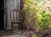 Nature takes over