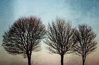 Drei Bäume von Wil van der Velde/ Digital Art Miniaturansicht