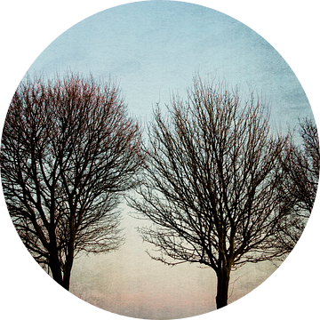 Three Trees van Wil van der Velde/ Digital Art