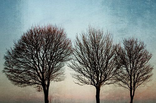 Three Trees by Wil van der Velde/ Digital Art