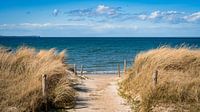 Oostzeestrand