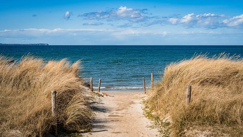 Baltic Sea beach by Andre Michaelis