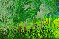 Forestry Landscape