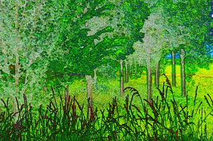 Forestry Landscape