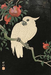Ohara Koson - Kakadu und Granatapfel (bearbeitet)