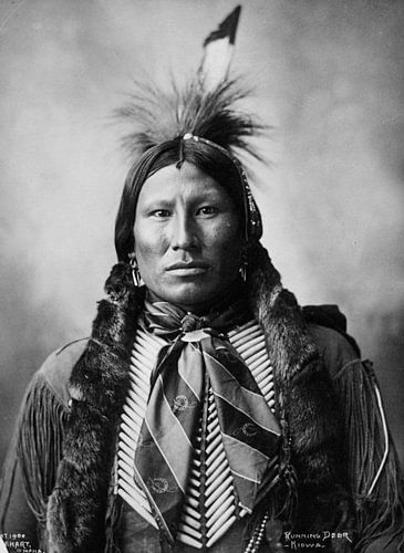 Native American (Indiaan)