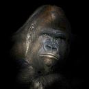 Portret van een zilver rug Gorilla van Karin aan de muur thumbnail