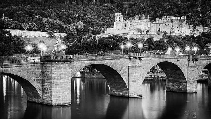 Le château de Heidelberg en noir et blanc par Henk Meijer Photography