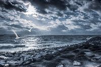 Stormy Wheater