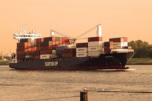 Containerschiff Nieuwe Waterweg
