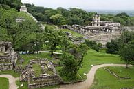 Palenque by Antwan Janssen thumbnail