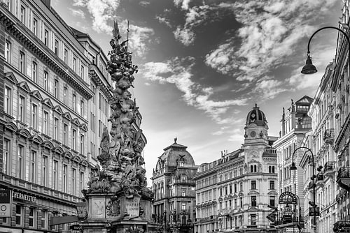 Pestsäule und Wiener Graben - Monochrom von Melanie Viola