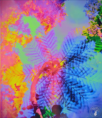 Summer s almost Gone ( Blue )